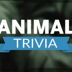 Animal trivia